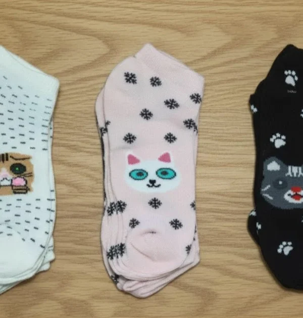 Sevimli Kedi Tasarımlı Pati Desenli 3 Çift Kılçıklı Bayan Patik Çorap